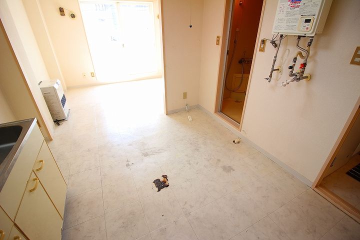 ローヤルハイツ中の島 D棟301の内装