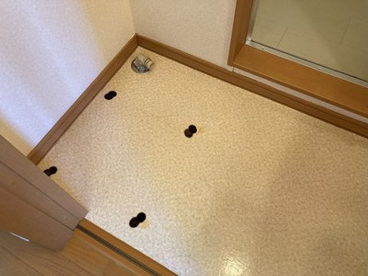CALIENNTA美園のその他画像