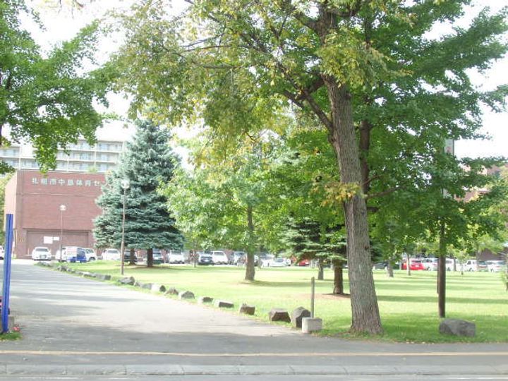 ベレール中の島305の周辺