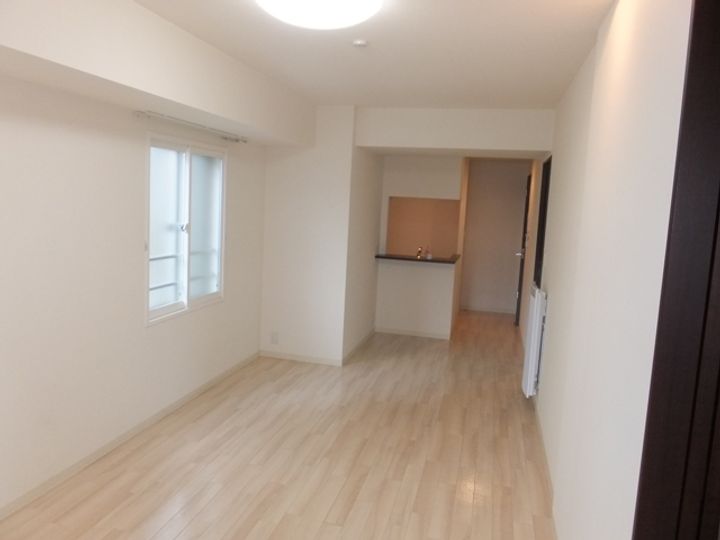 アルファタワー札幌南4条00801の居間