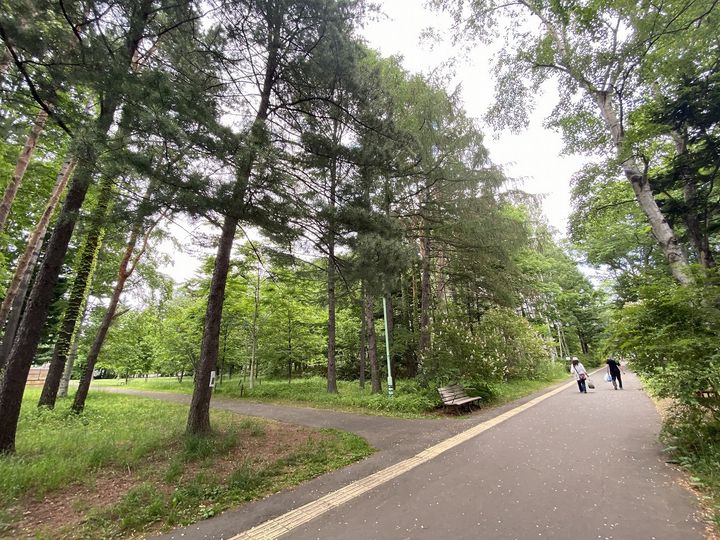 仮)ガルボ平岸203の周辺