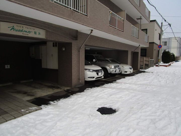 マッシモフェミニール菊水602のその他画像