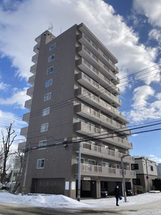 マッシモフェミニール菊水602の外観