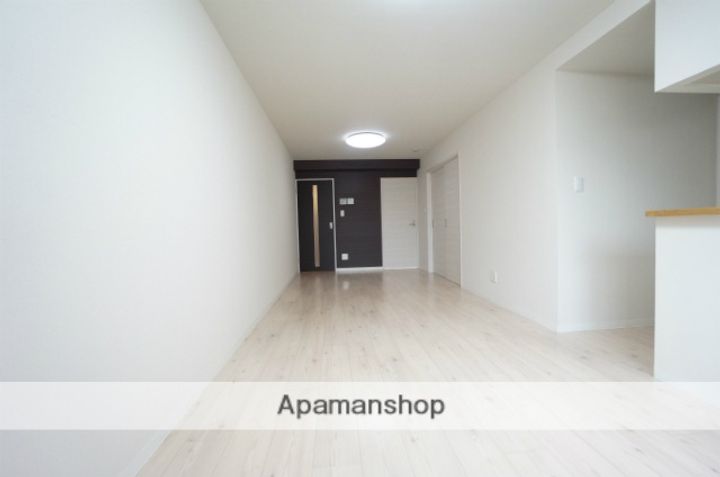 北海道札幌市手稲区手稲本町二条4丁目の賃貸マンションの内装