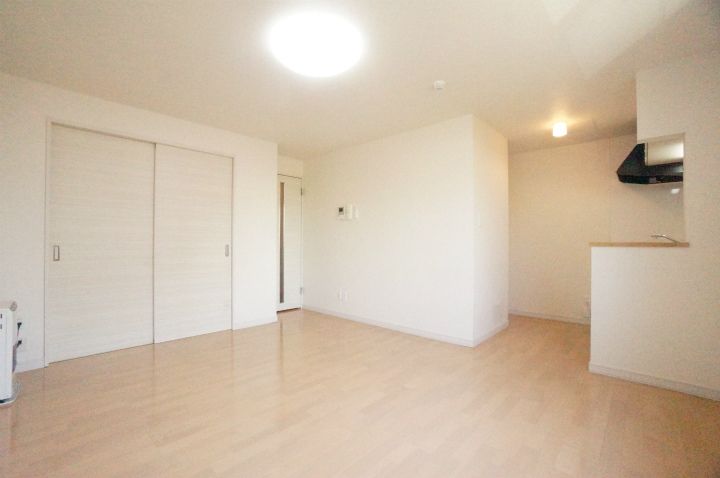 サンテラス手稲駅前203の内装