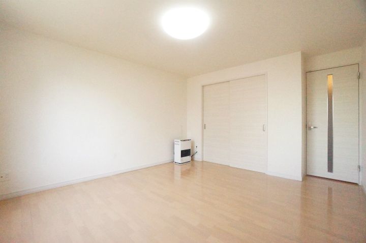 サンテラス手稲駅前203の内装