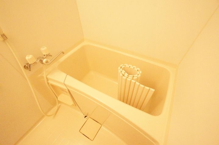 サンテラス手稲駅前203の風呂
