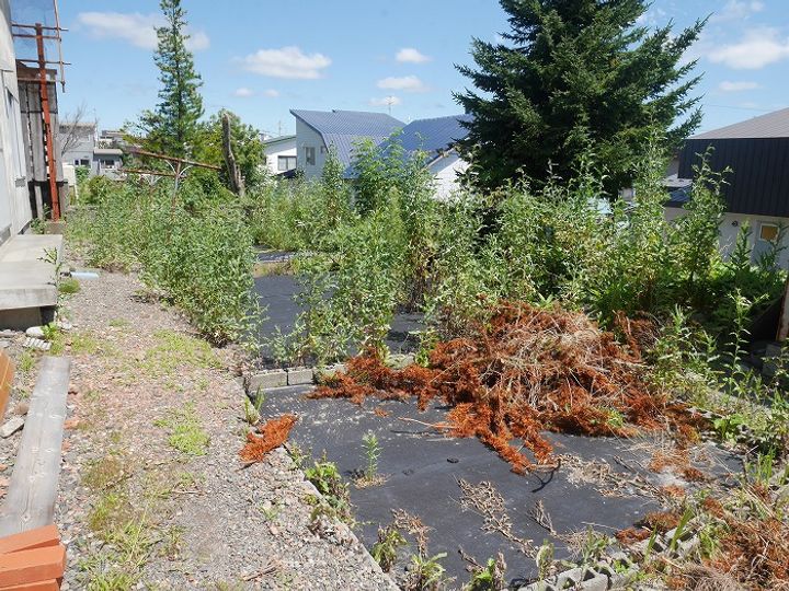 北海道岩見沢市日の出南1丁目(一戸建)の賃貸物件の外観