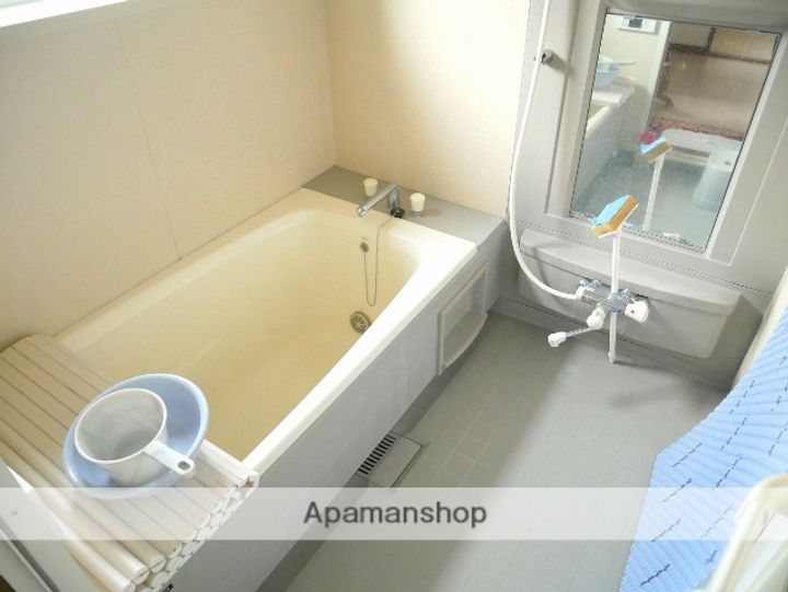 北海道石狩郡新篠津村第42線北(一戸建)の賃貸物件の風呂