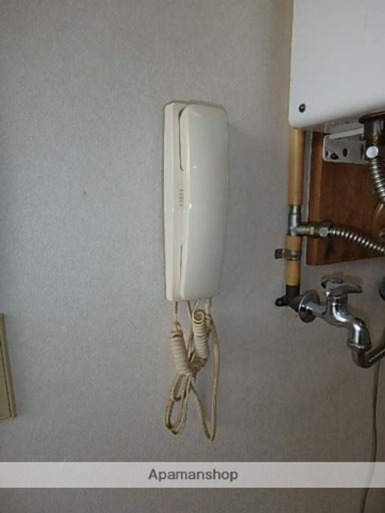 シルクのその他画像