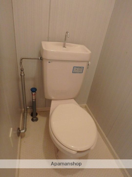 シルクのその他画像