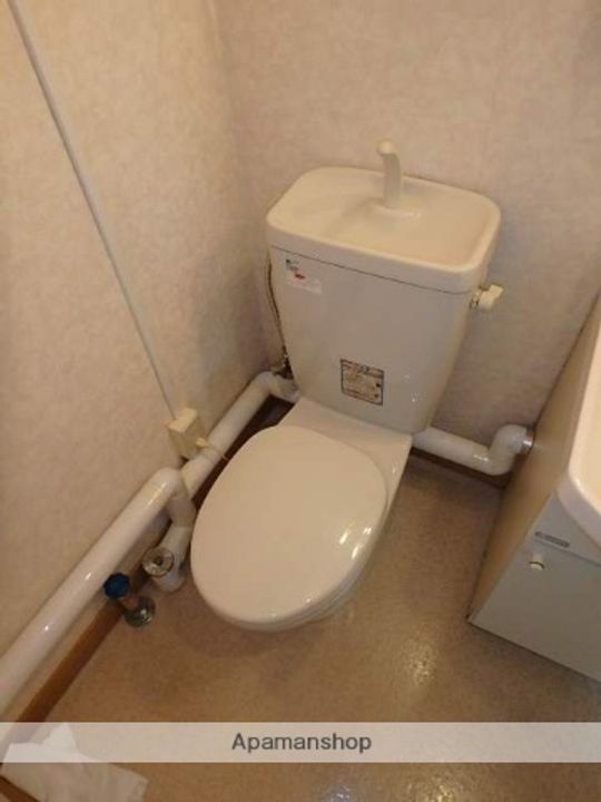 ジェミニのその他画像