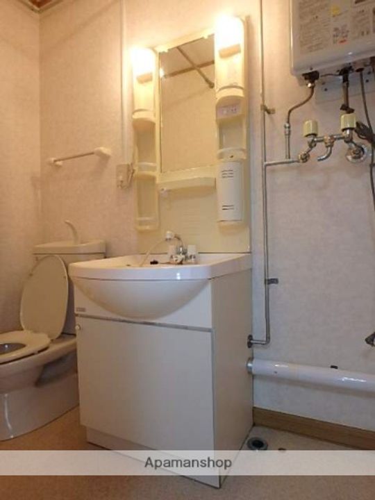 ジェミニのその他画像