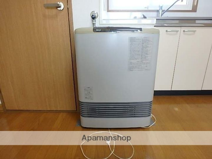 ジェミニのその他画像