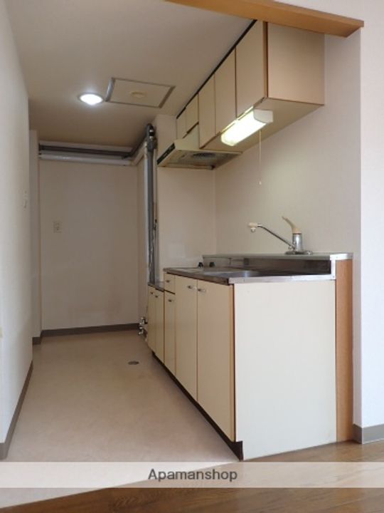 ドルチェ・Ⅰのキッチン