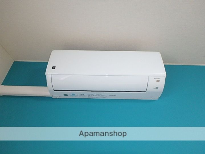 プリムローズのその他画像