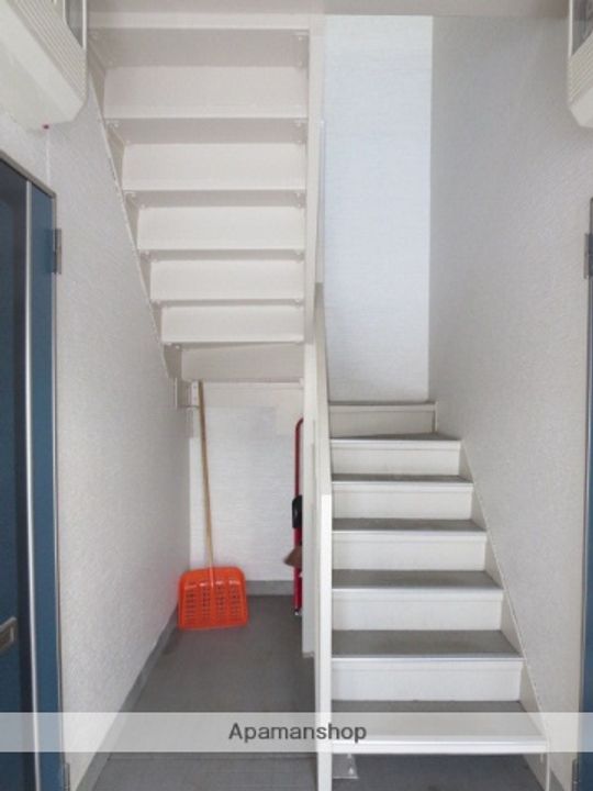 クローバーのその他画像