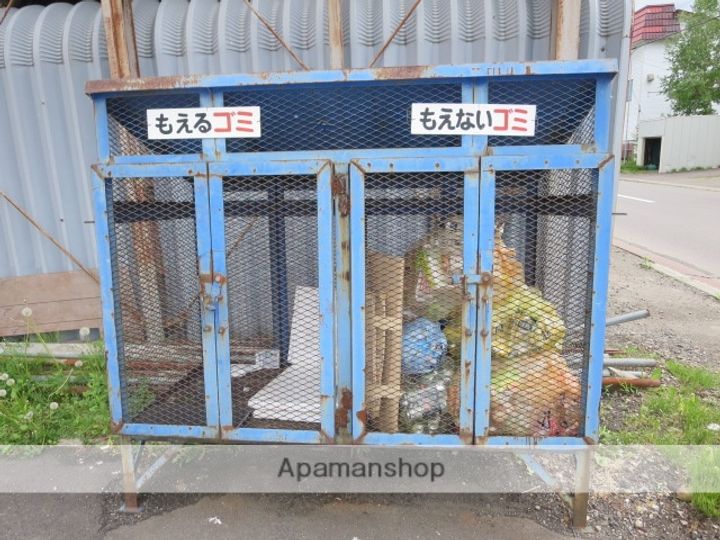 ジェミニのその他画像