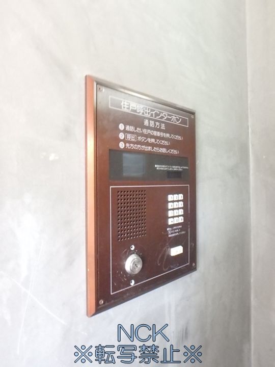 パピヨン・ドゥ・ラ・シレーヌ302のその他画像