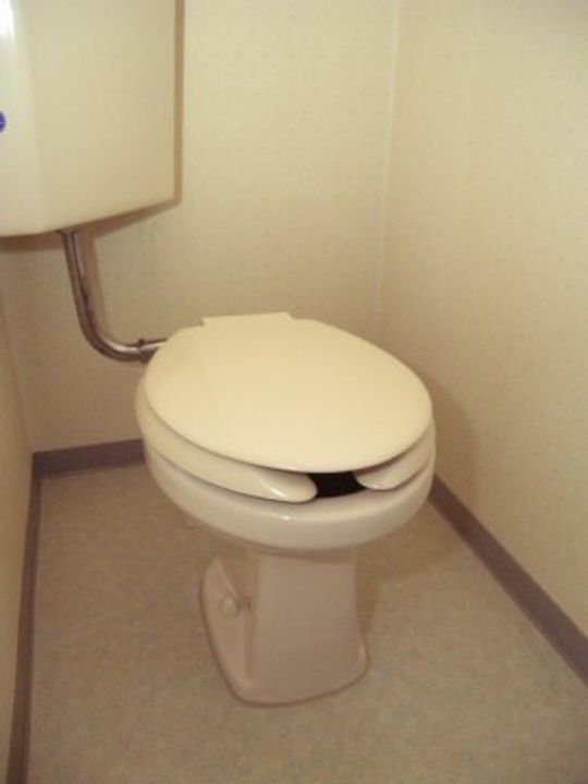 ルピナス7・8のその他画像