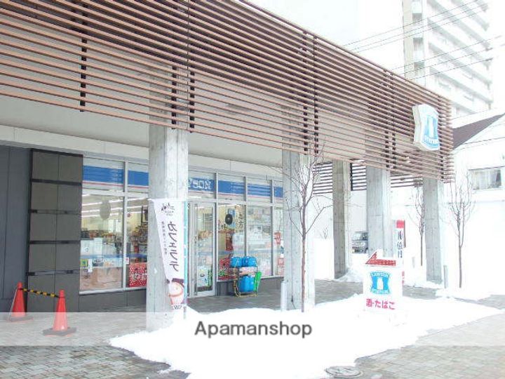 大通シティハウスの周辺