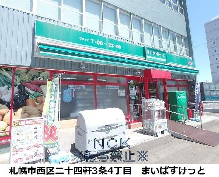 レオパレス華美館の周辺