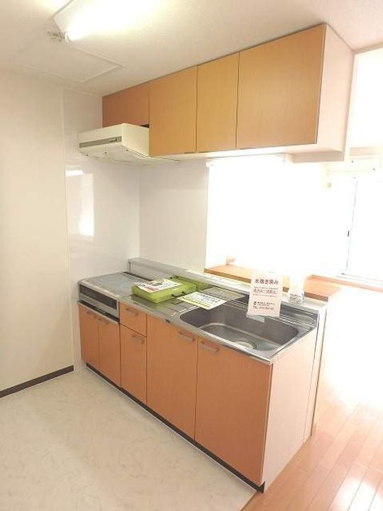 レラ・ホープ稲積公園00201のキッチン