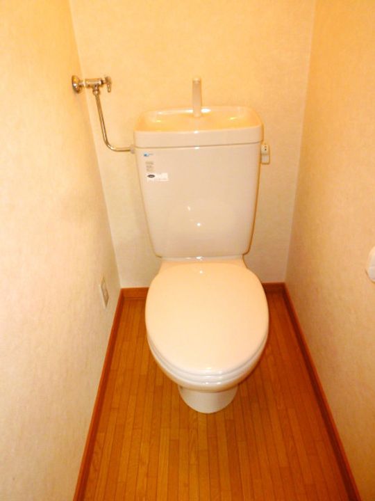 パラシェンプレ101のその他画像