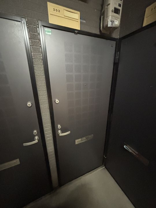 アルファルーセント302のその他画像