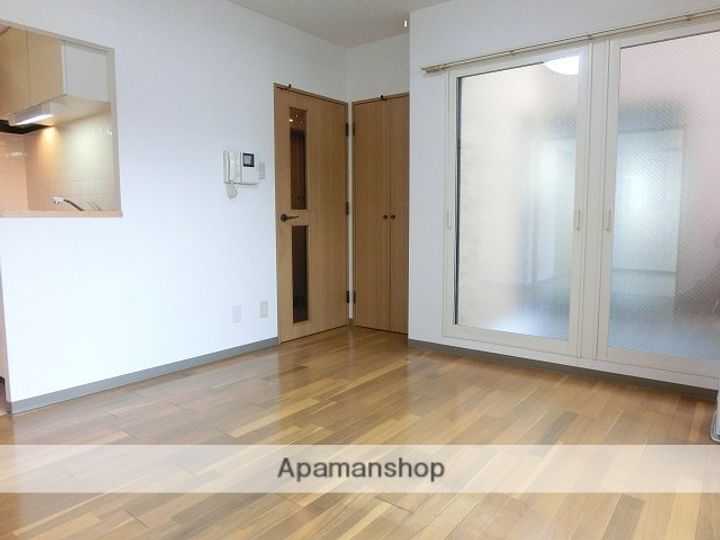 北海道札幌市西区山の手三条6丁目の賃貸マンションの内装