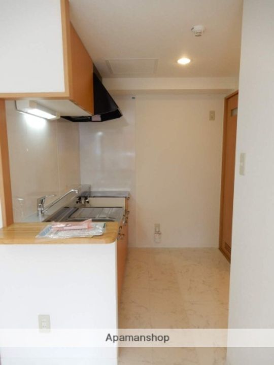 北海道札幌市手稲区手稲本町二条3丁目の賃貸マンションの内装