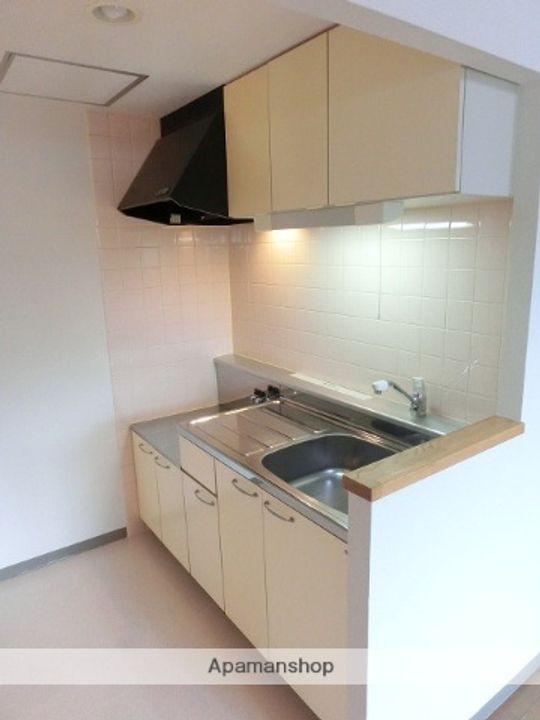 北海道札幌市西区山の手三条6丁目の賃貸マンションのキッチン