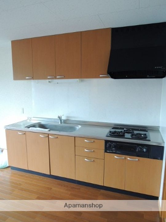 SKコーポⅡ201のキッチン
