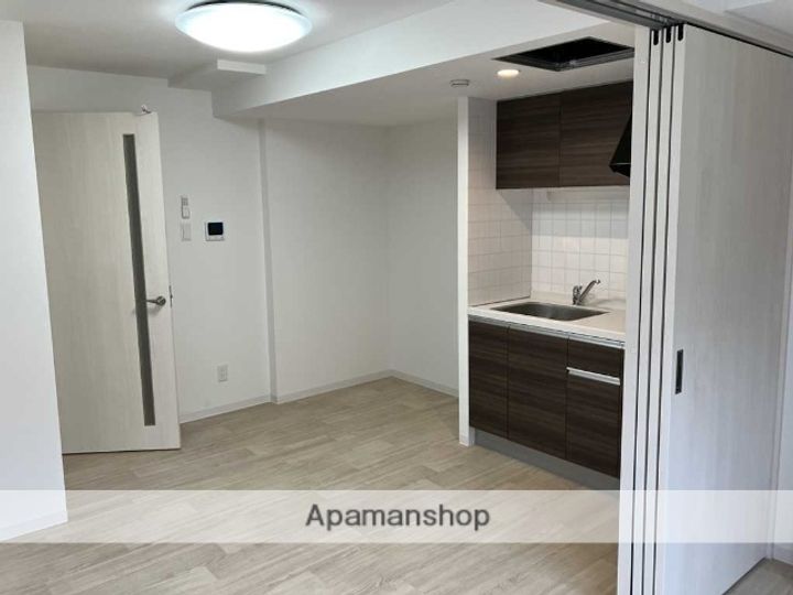 北海道札幌市西区西町北13丁目の賃貸マンションの内装