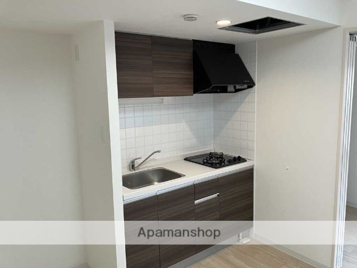 北海道札幌市西区西町北13丁目の賃貸マンションのキッチン