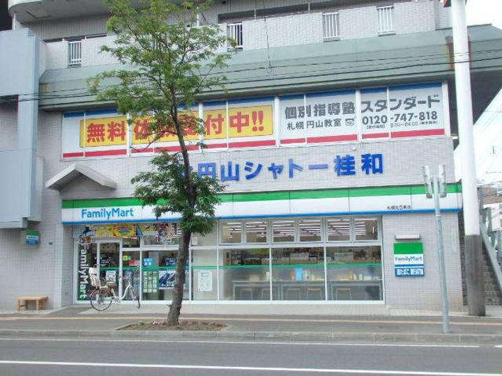 シティパル北円山207の周辺