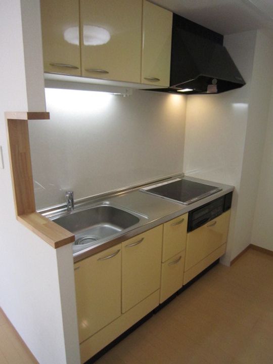 ステラ円山北町のキッチン