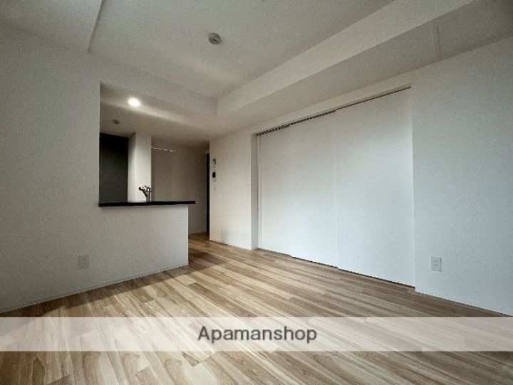 北海道札幌市中央区南十六条西6丁目の賃貸マンションの内装