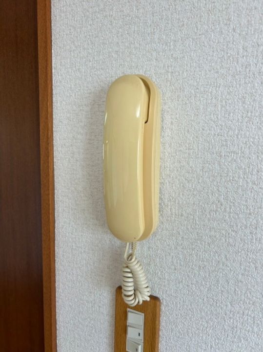 CEDIAのその他画像