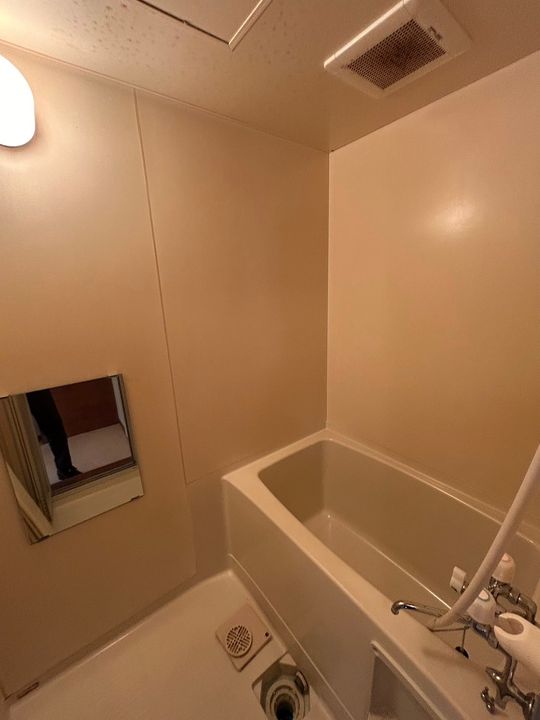 メゾンドエイシン202の風呂