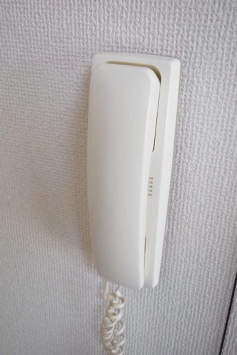 コスモスのその他画像