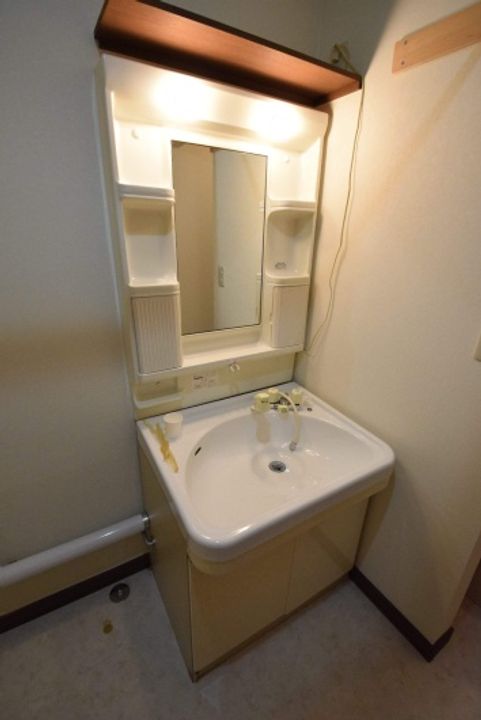 コスモスのその他画像