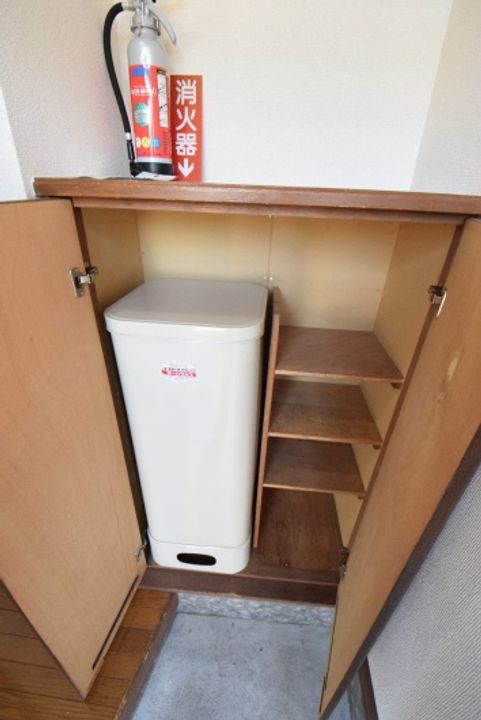 コスモスのその他画像