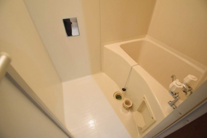 コスモスのその他画像