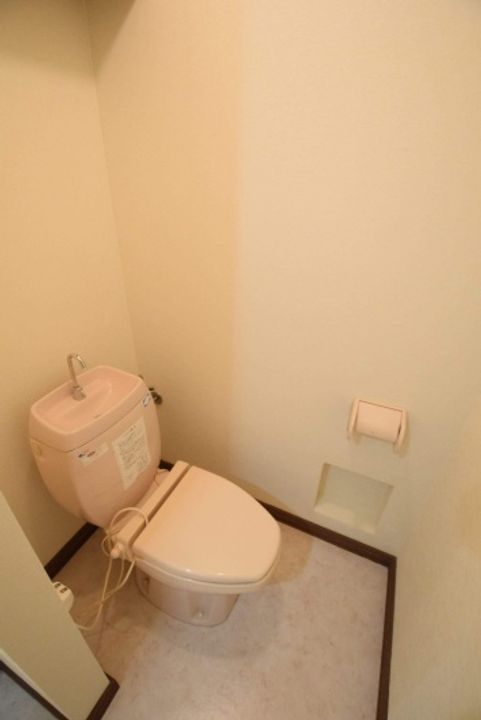 コスモスのその他画像