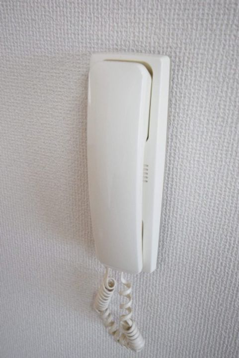 コスモスのその他画像