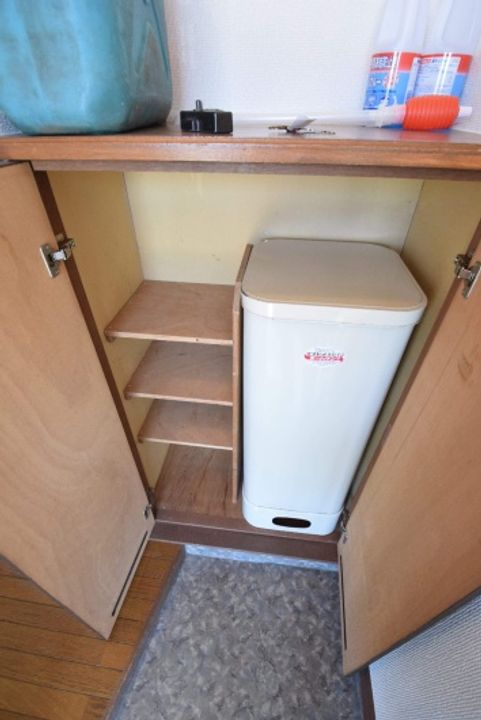 コスモスのその他画像