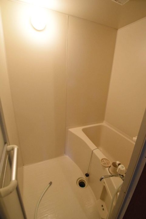 コスモスのその他画像