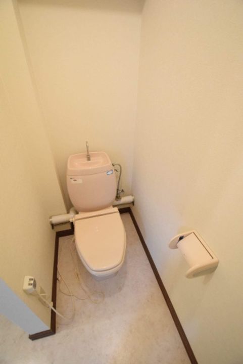 コスモスのその他画像