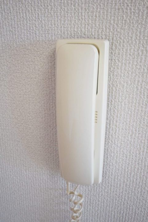 コスモスのその他画像